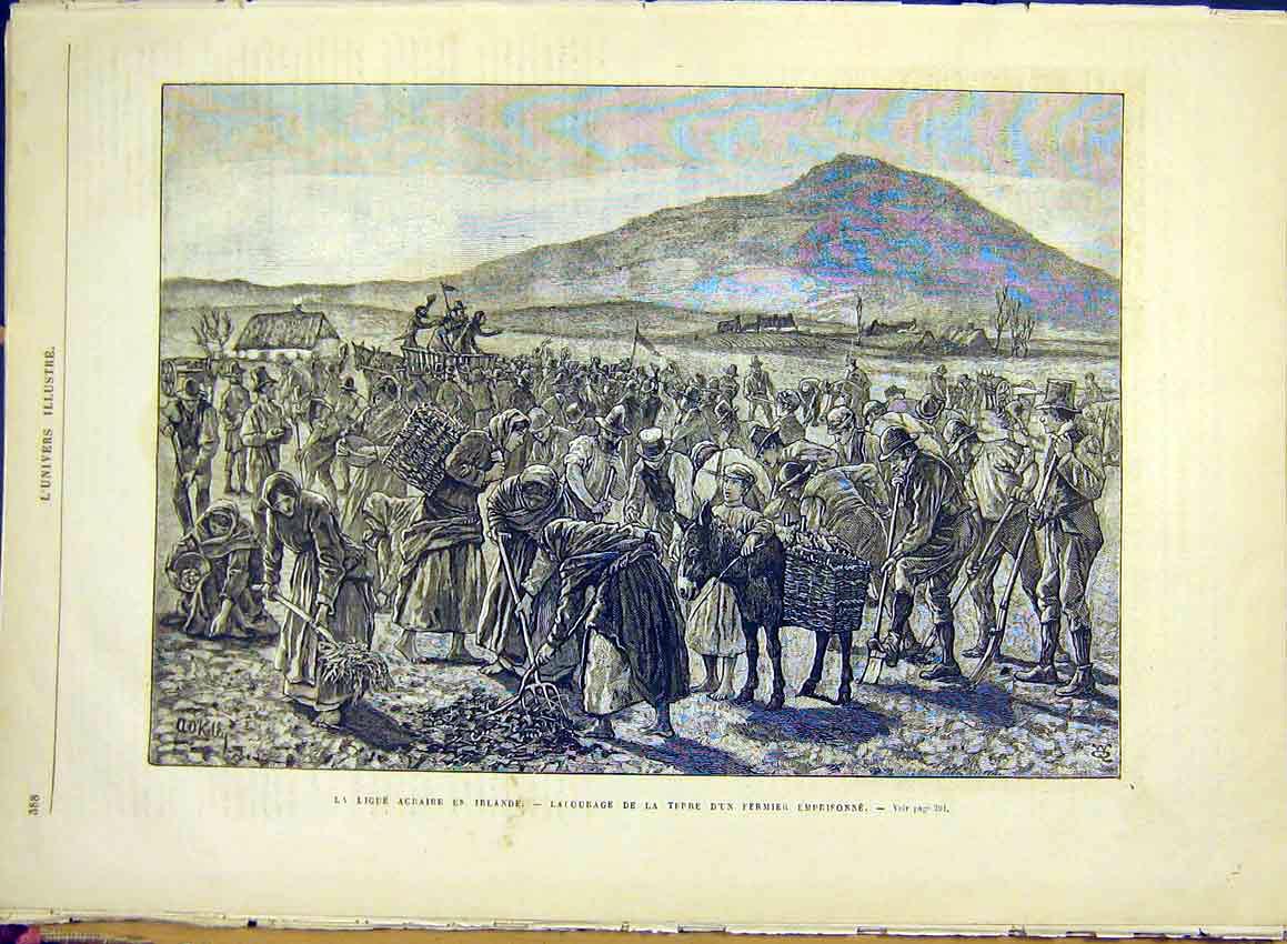 Original Old Antique Print Ireland Tenant Frm Prisoner Agriculture 1881 19th