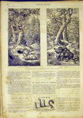 Original Old Antique Print Pigs Boars Hunt Hunting Germany French 1865 Victorian