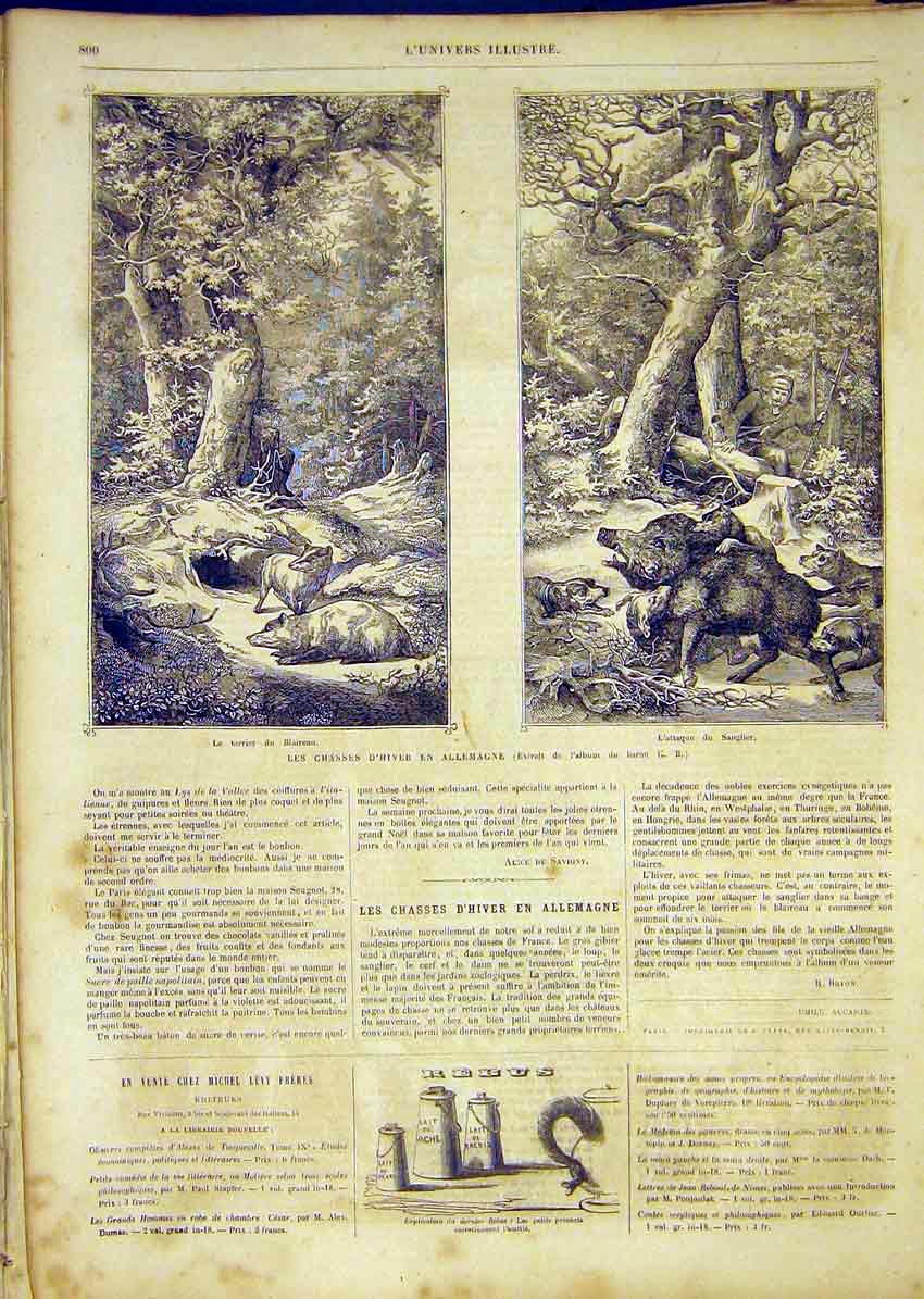 Original Old Antique Print Pigs Boars Hunt Hunting Germany French 1865 Victorian
