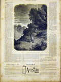 Original Old Antique Print Taunus Forster Fine Art French 1866 19th