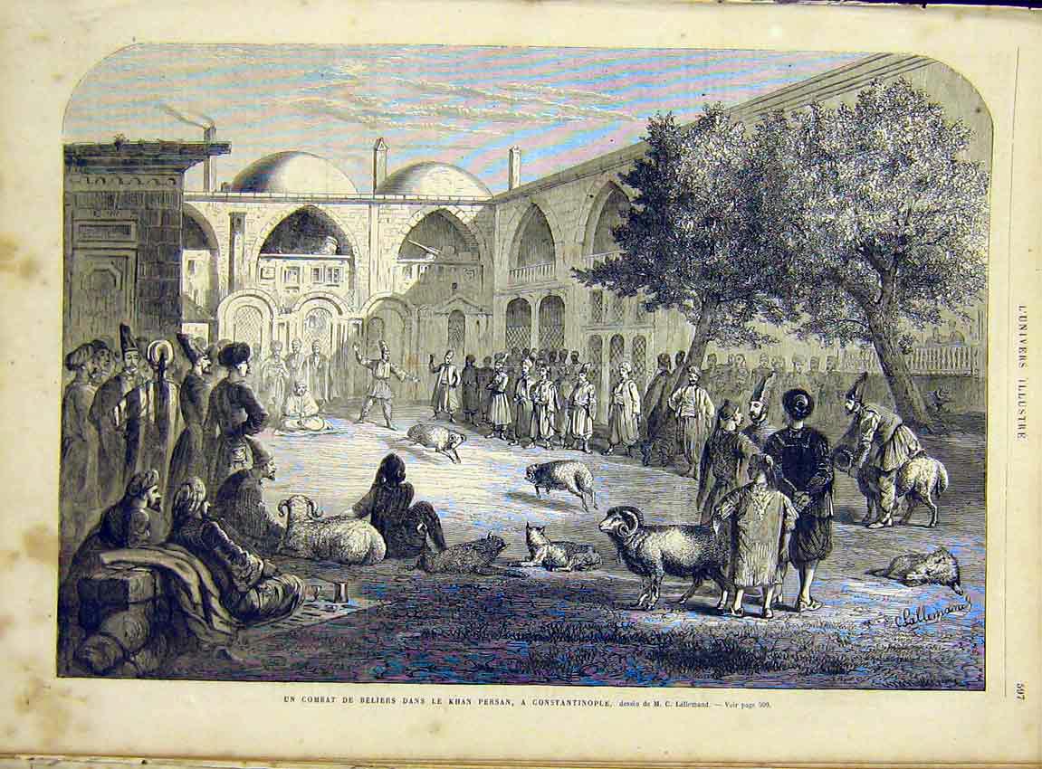 Original Old Antique Print Constantinople Sheep Fight Persan French 1866 19th