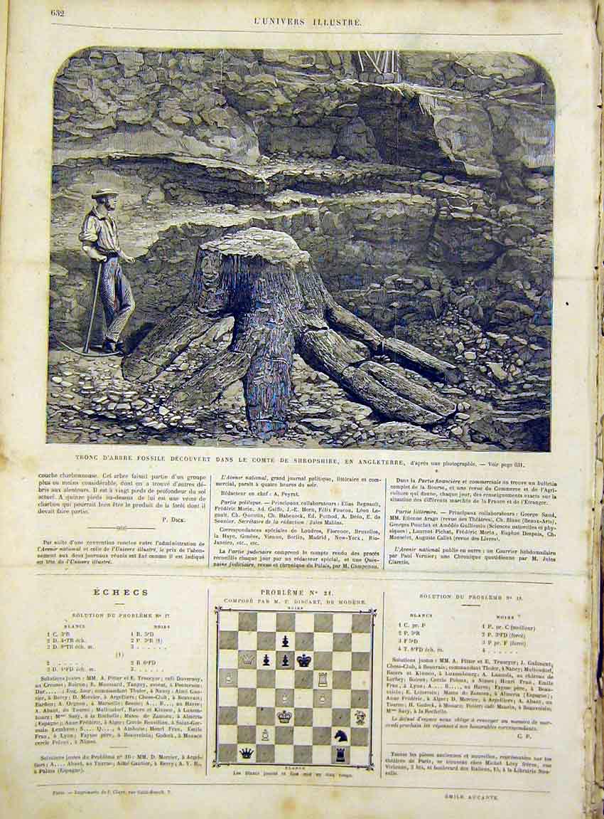 Original Old Antique Print Fossil Treet Shropshire England French 1866 Victorian