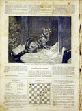 Original Old Antique Print Cat Animal Weir French 1866 Fine Art 19th
