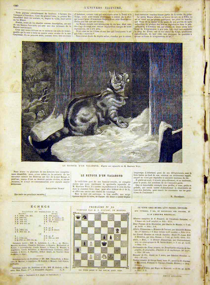 Original Old Antique Print Cat Animal Weir French 1866 Fine Art 19th