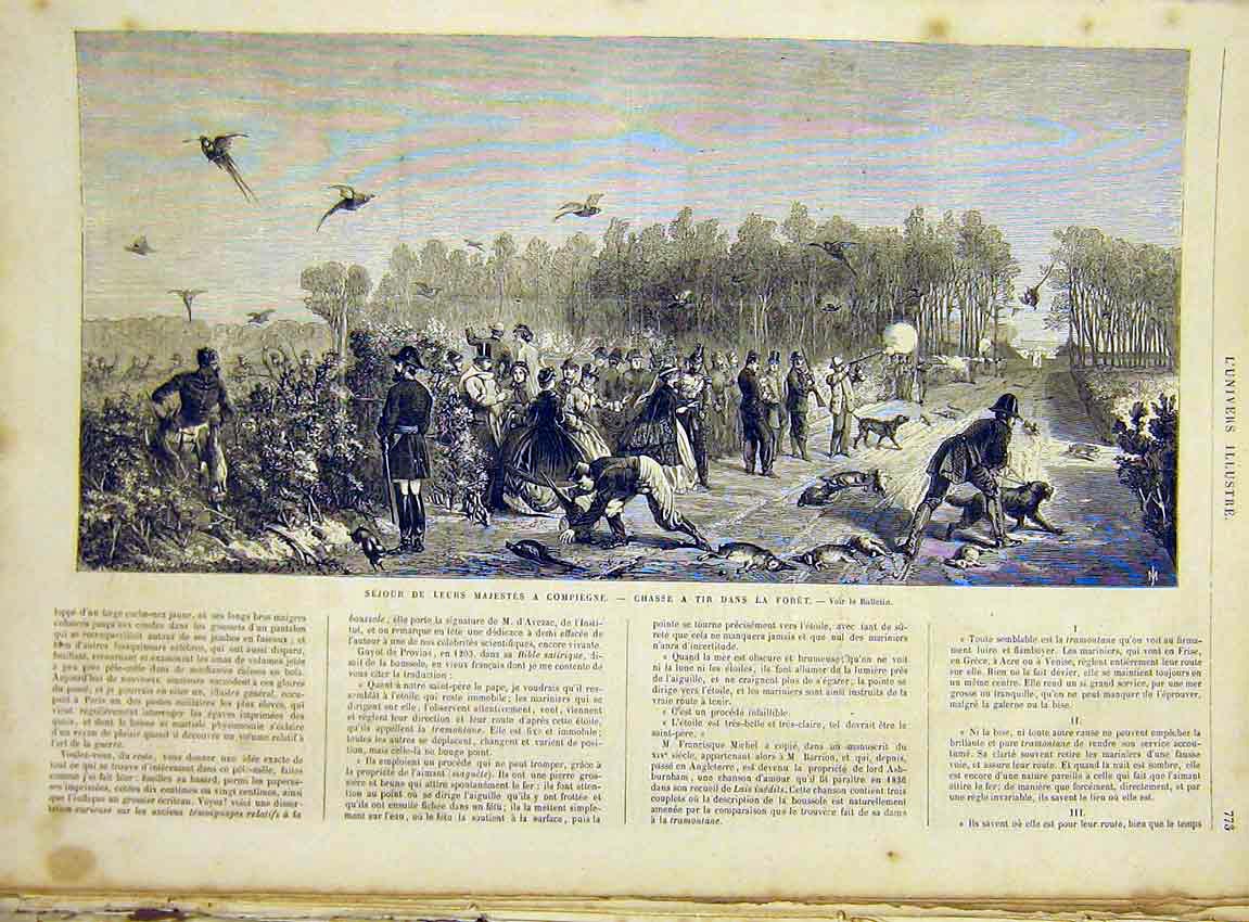 Original Old Antique Print Birds Pheasants Shooting Rabbits French 1866 19th