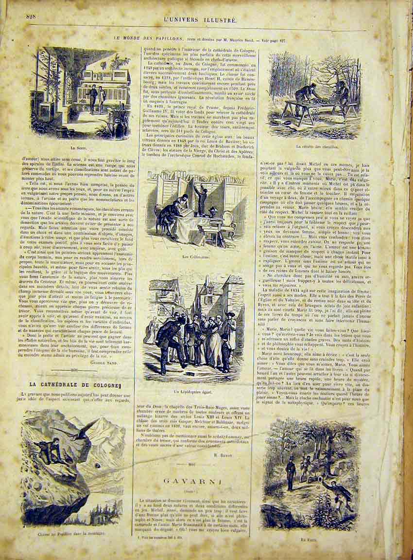 Original Old Antique Print Papillon Mountain Forest Gavarni French 1866 19th