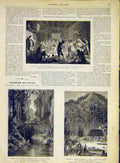 Original Old Antique Print South-America Grenadiers Cauca Bamboo Palm 1868 19th