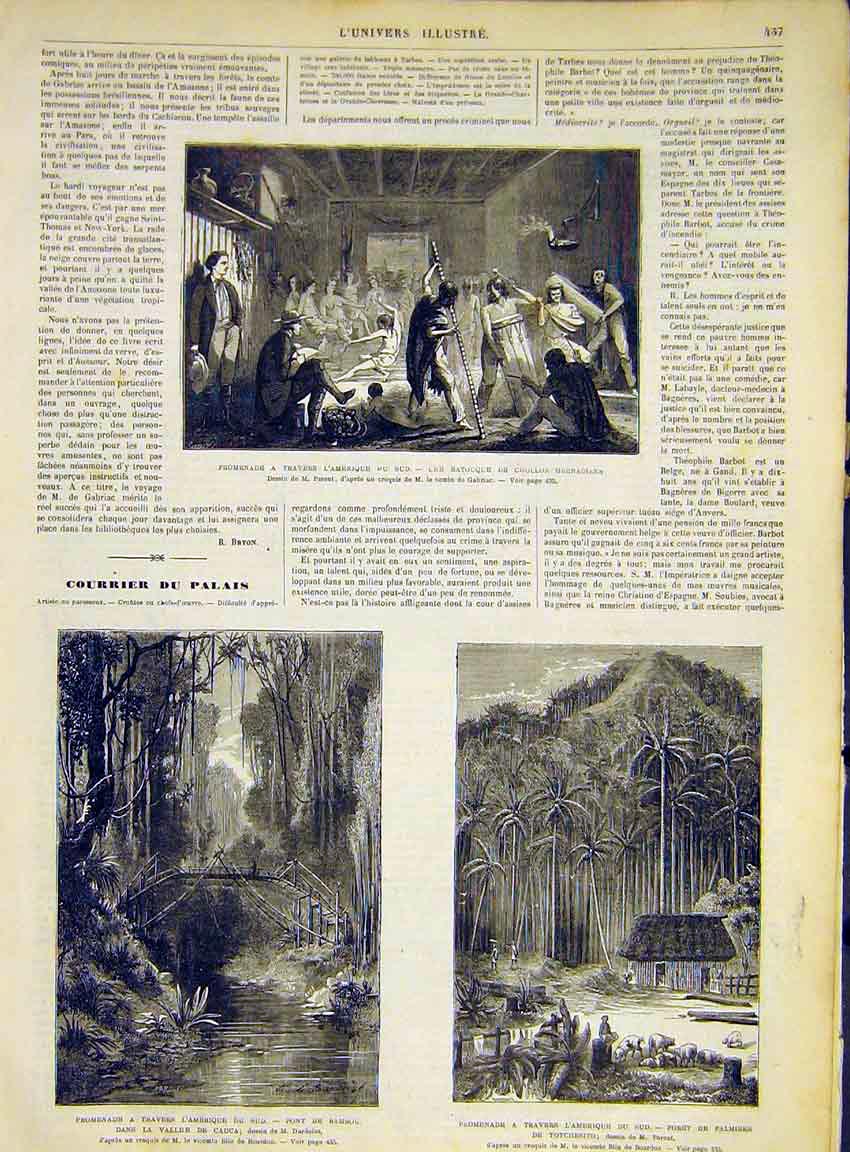 Original Old Antique Print South-America Grenadiers Cauca Bamboo Palm 1868 19th