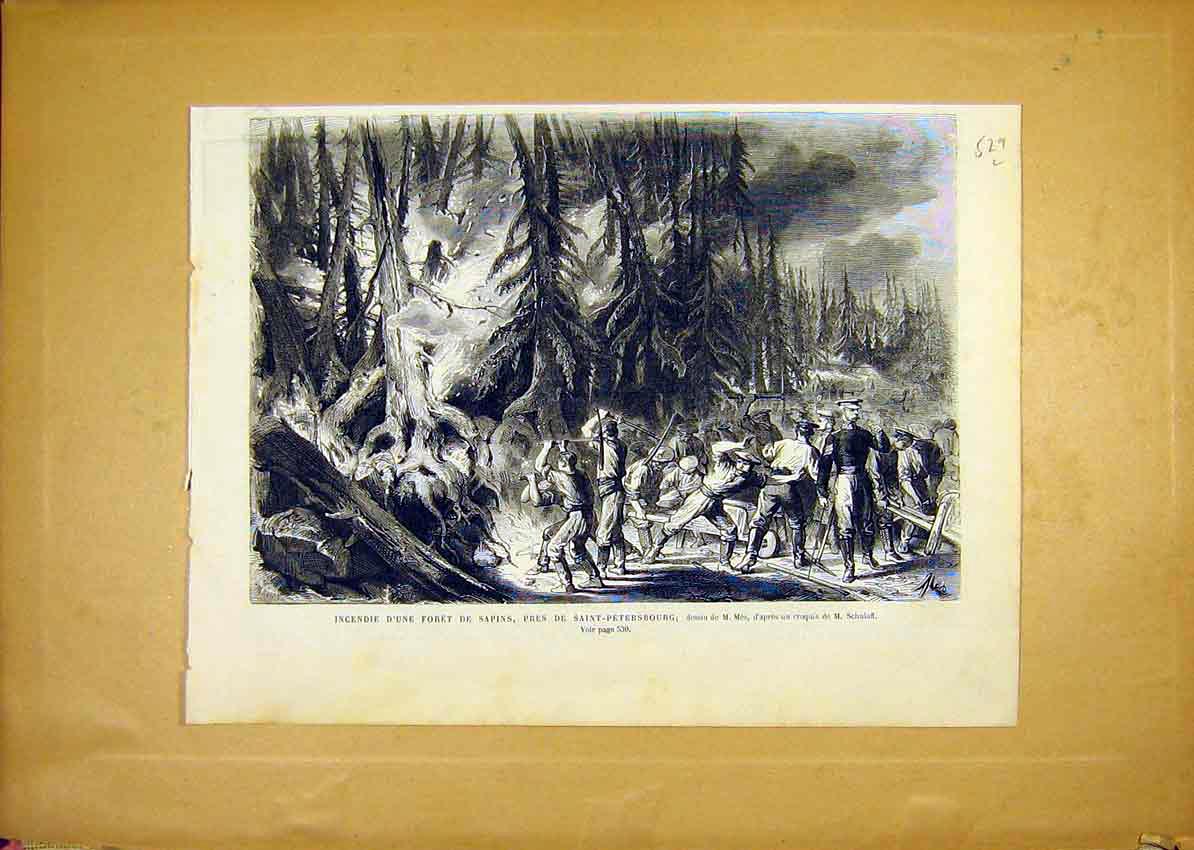 Original Old Antique Print Forest Sapins Saint-Petersburg Russia French 1868