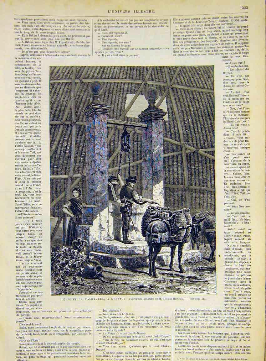Original Old Antique Print Alhambra Grenada Well Donkey Macquoid 1868 Victorian