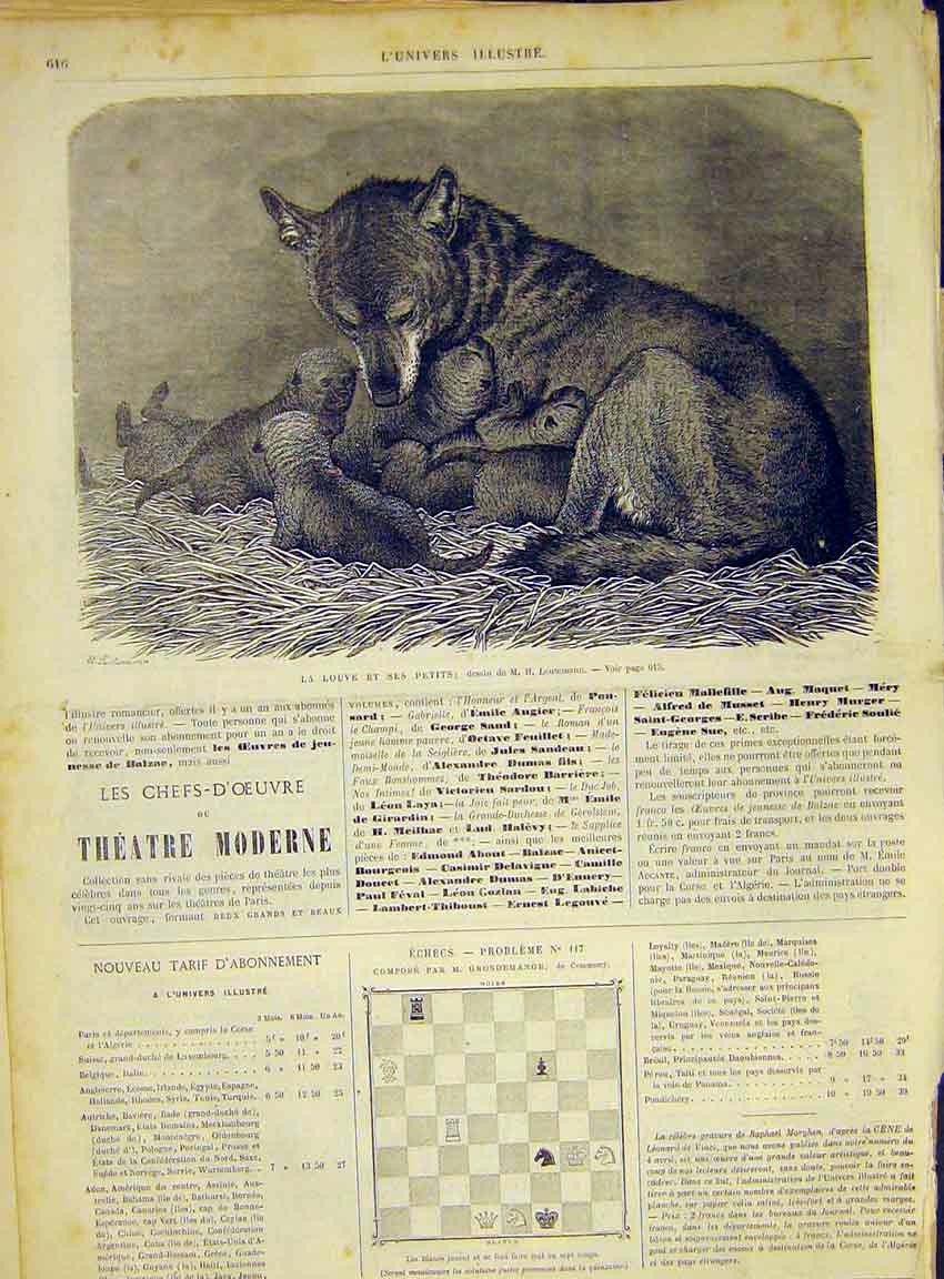Original Old Antique Print Fox Cubs Animal Mammal Leutemann French 1868 19th
