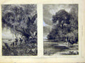 Original Old Antique Print South-America Exploration Amazon Marcoy Riou 1868