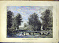 Original Old Antique Print Brussels Belgium Pond French 1880 19th