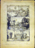 Original Old Antique Print Woods Cambre Brussels Belgium Sketches 1880 Victorian