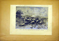 Original Old Antique Print Algeria Tribal Insurgence Oranais Cattle 1881 19th