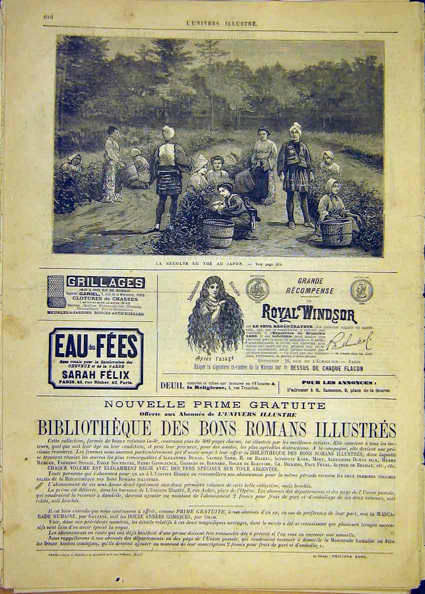 Original Old Antique Print Cultivation Japan Japanese Farm French 1881 Victorian