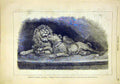 Original Old Antique Print National Exhibition Milan Italy Lions Sarti 1881 19th
