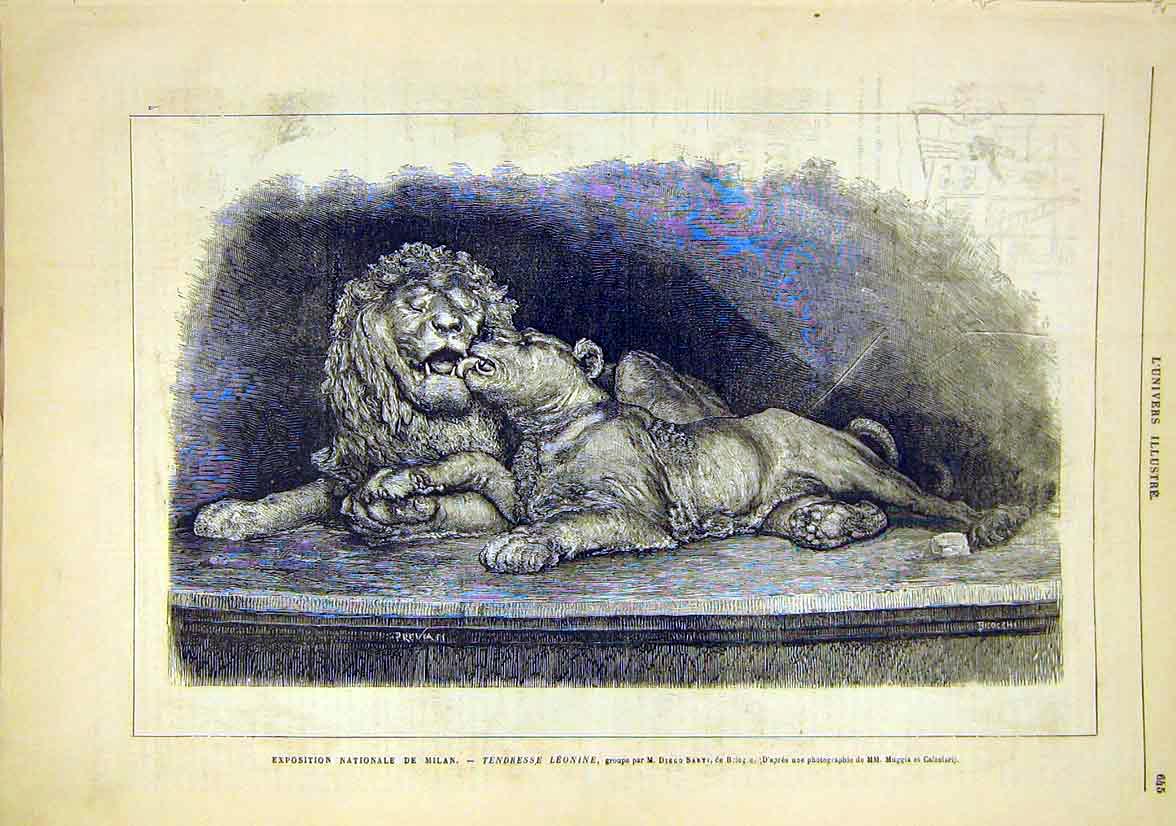 Original Old Antique Print National Exhibition Milan Italy Lions Sarti 1881 19th
