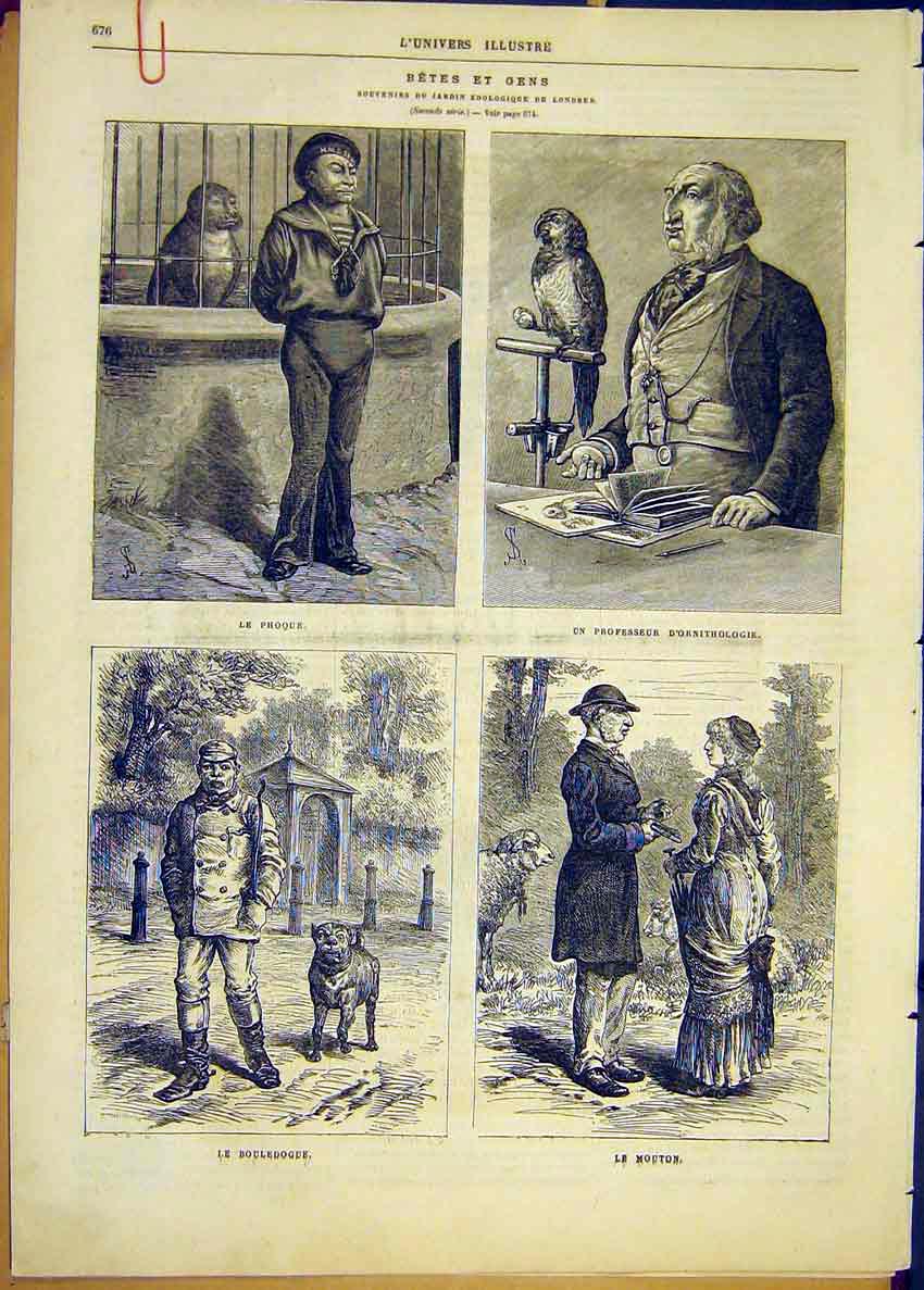 Original Old Antique Print Beast Men Parrot Monkey Bull-Dog Sheep Giraffe Buck