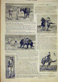 Original Old Antique Print Cowboy Philadelphia Horse French 1891 19th