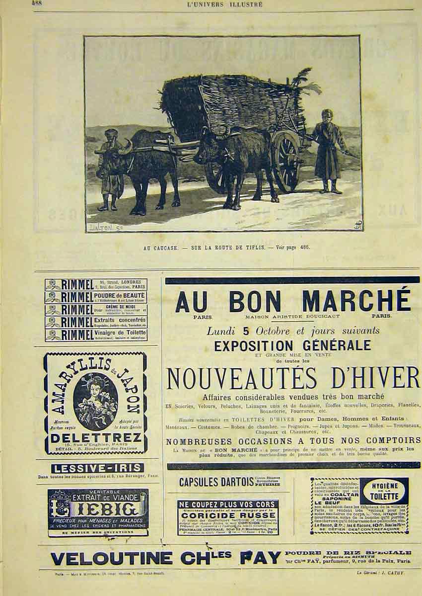 Original Old Antique Print Tiflis Oxen Ox-Cart Dalton Advert French 1891 19th