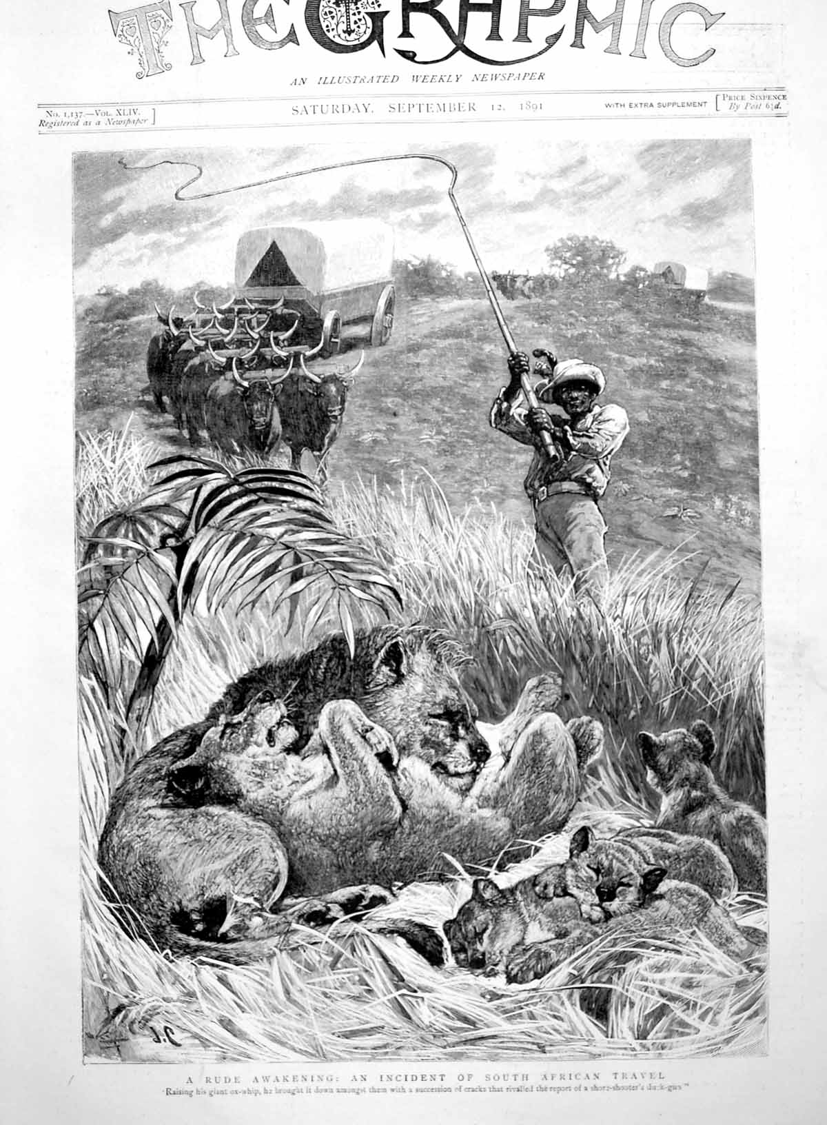 Antique Print Rude Awakening Incident South African Travel Lions Wagon 1891