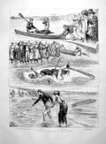 Old Print Canoeing Incident At Seaside Pushed Off Overturned Return 1891 19th
