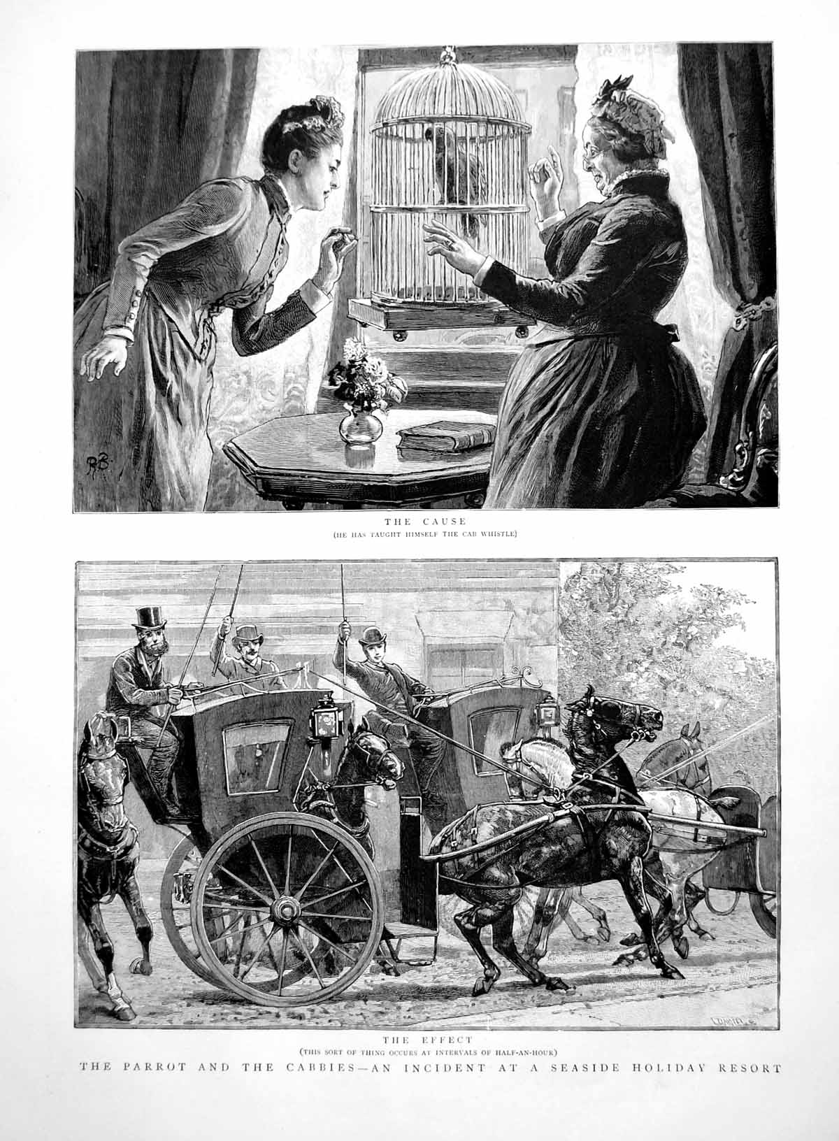 Old Print Parrot Self Taught Car Whistle Horses Carriages Disrupted 1891 19th