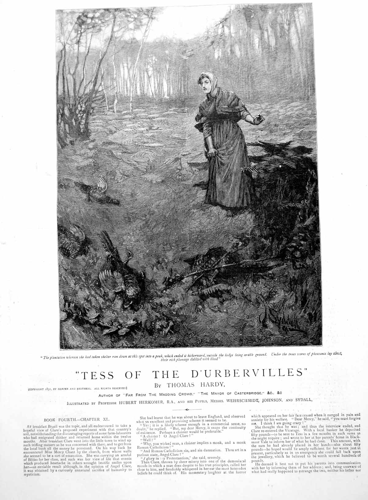 Antique Old Print Thomas Hardy'S Tess D'Urbervilles Pheasants Woodland 1891
