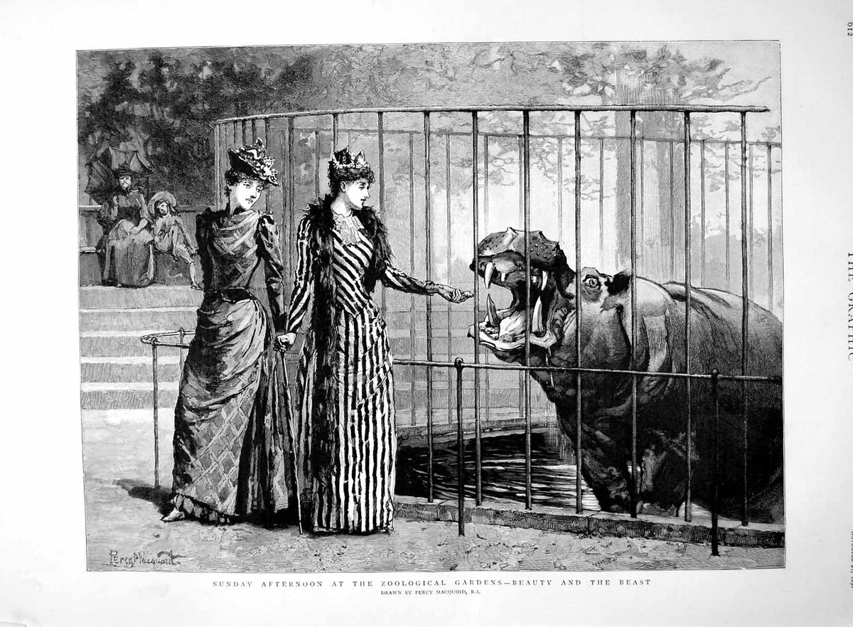 Old Antique Print Sunday Zoological Gardens Women Hippo P Macquoid 1891 19th