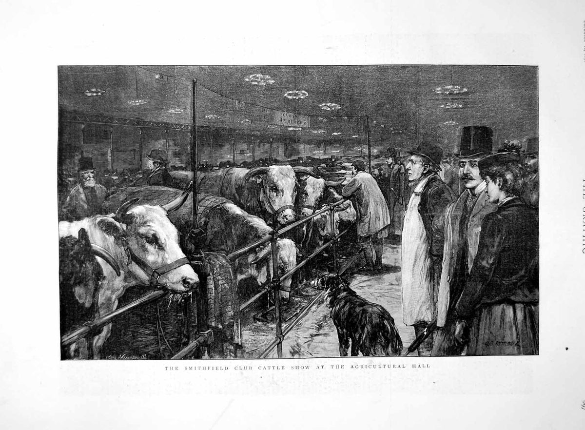 Antique Print Smithfield Club Cattle Show Dom Pedro Ex-Emperor Brazil 1891 19th
