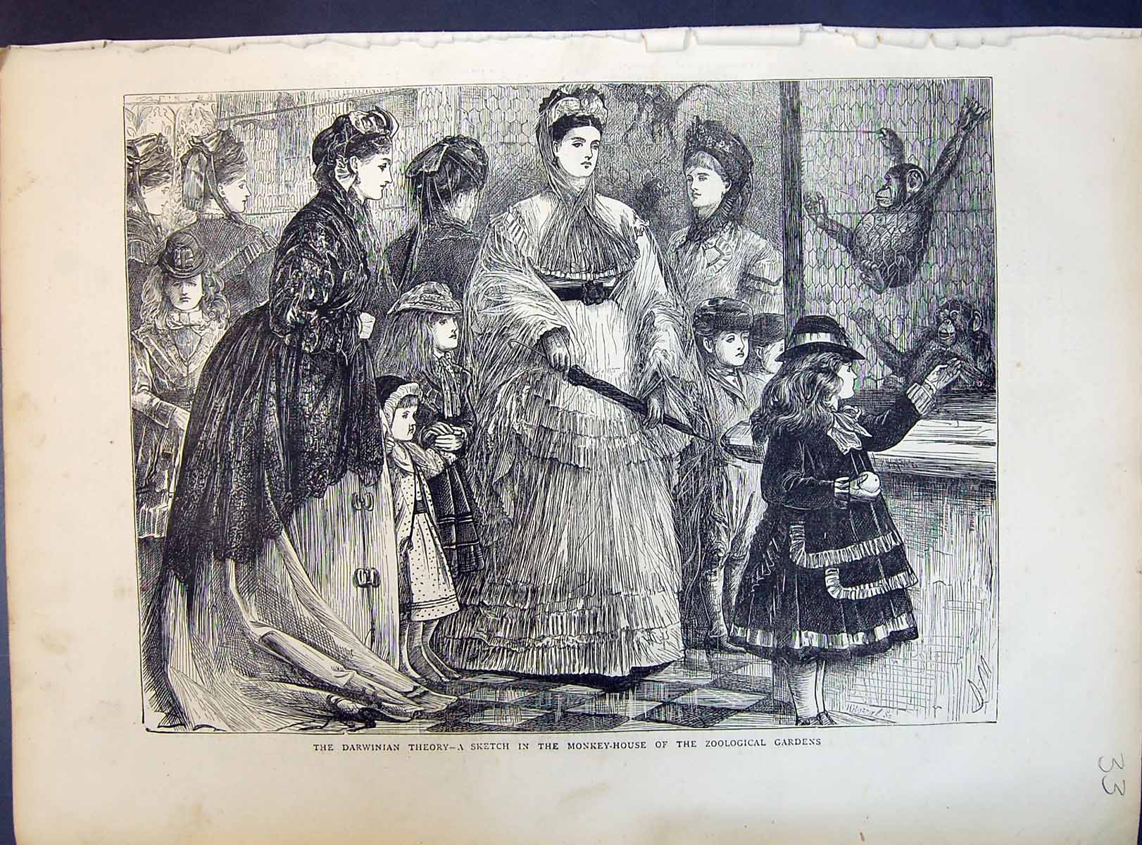 Old 1871 Darwinian Theory Monkey House Zoological Gardens Children La Victorian