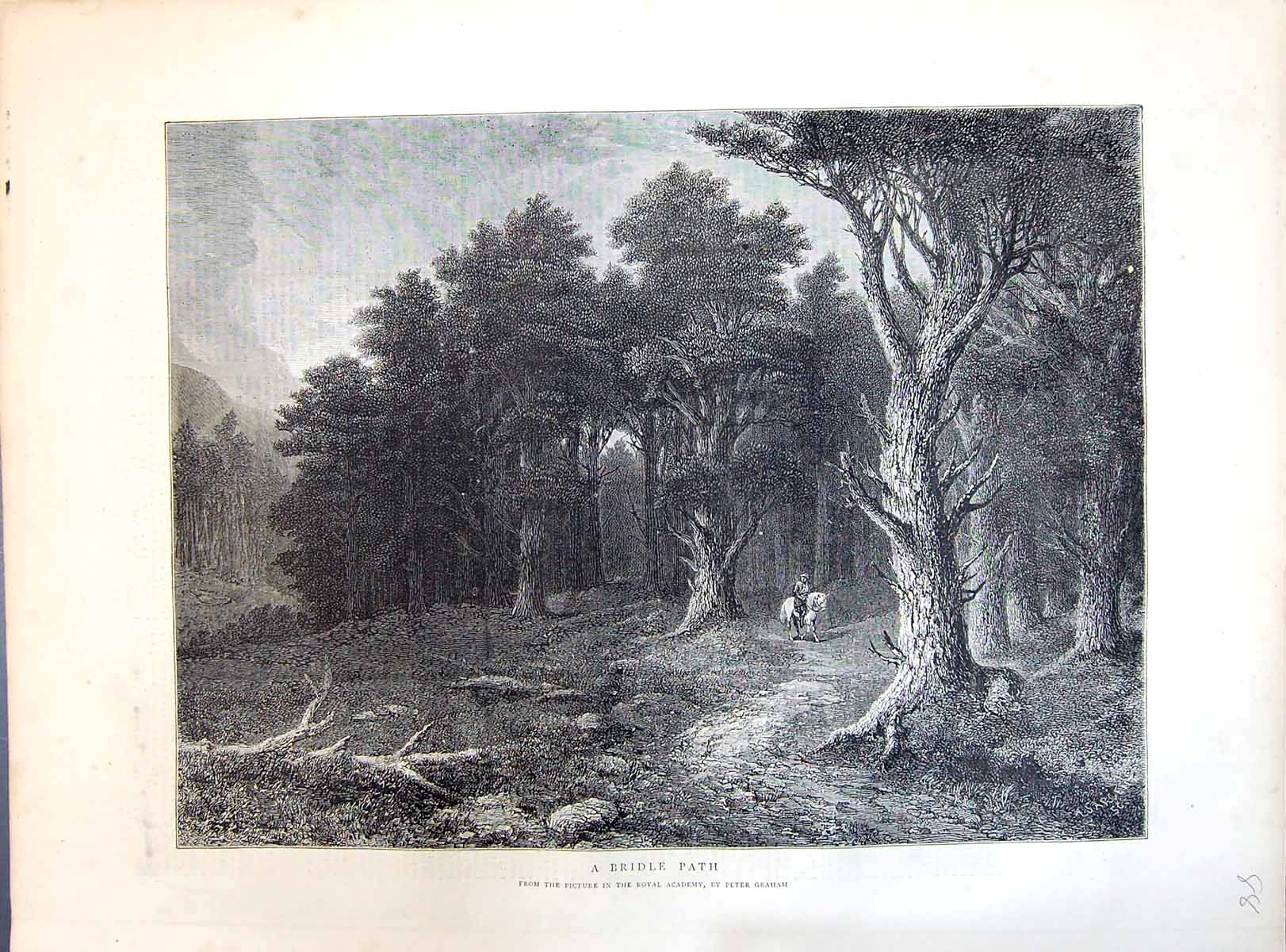Old 1871 Bridle Path Man Horse Riding Trees Forest Scene Peter Graham Victorian