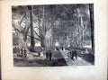 Antique Old Print 1871 Home-Coming Princess Louise Dhu Avenue Inverary Trees