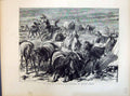 Original Old Antique Print 1871 Camp Aldershot Stampede Cavalry Horses Durand