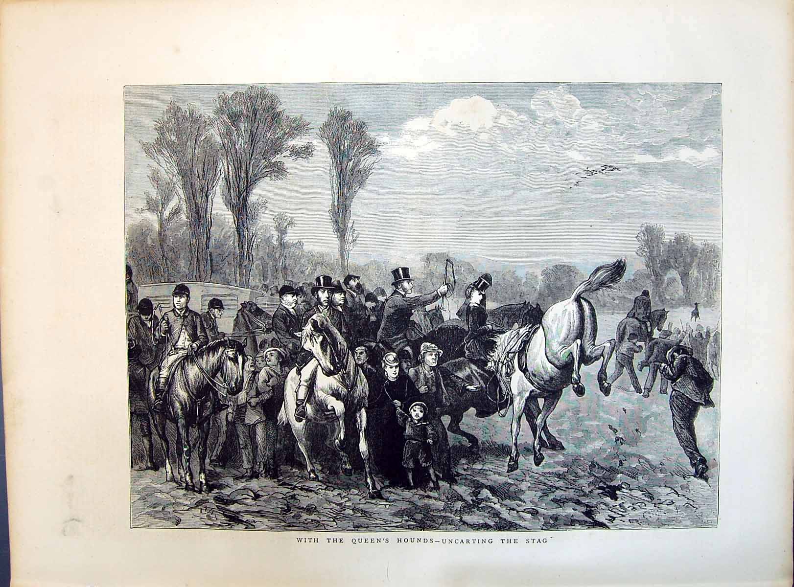 Antique Old Print 1871 Queen'S Hounds Hunting Uncarting Stag Horses Huntsmen
