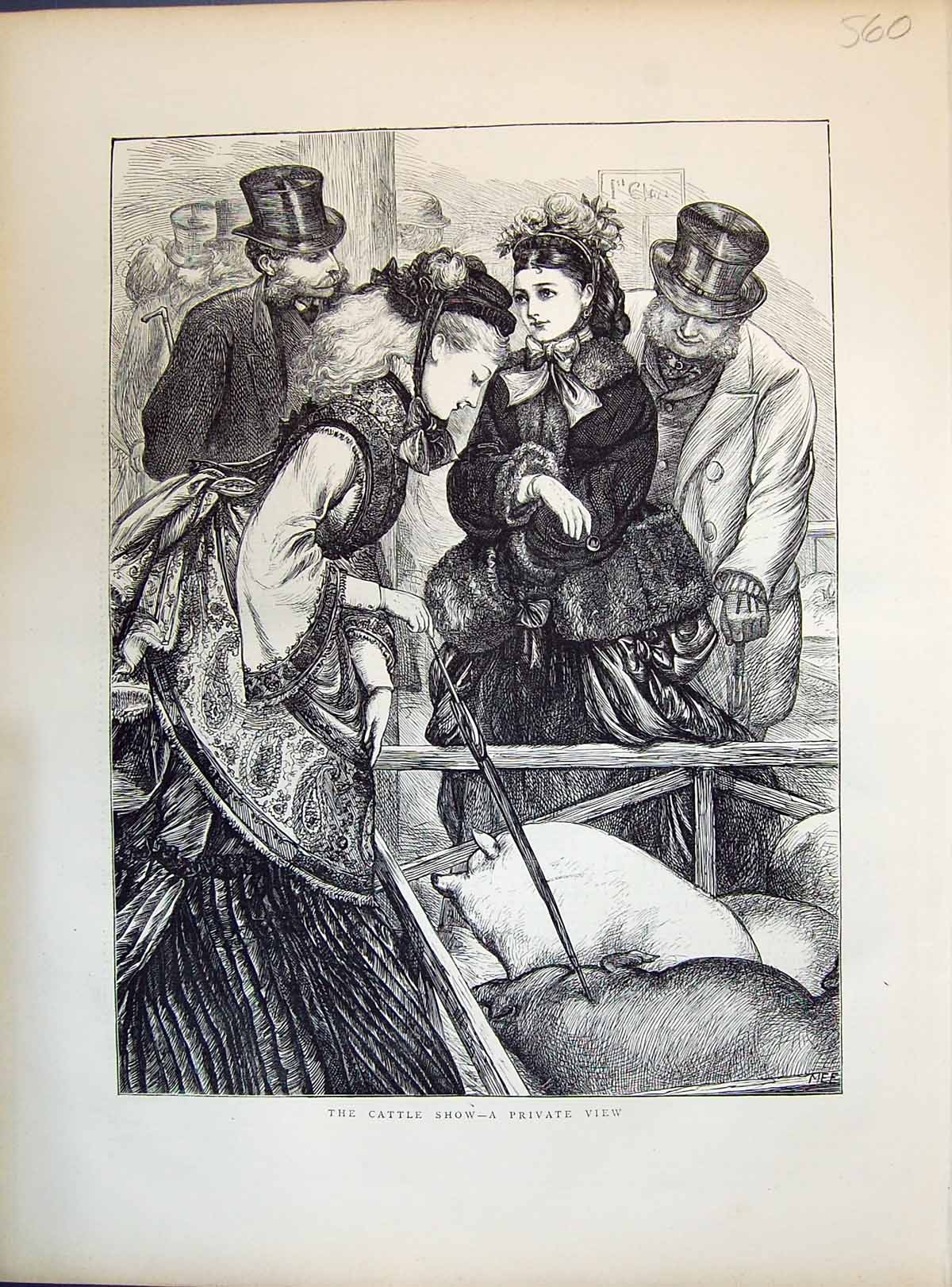 Original Old Antique Print 1871 Cattle Show Animals Pigs Ladies Private View