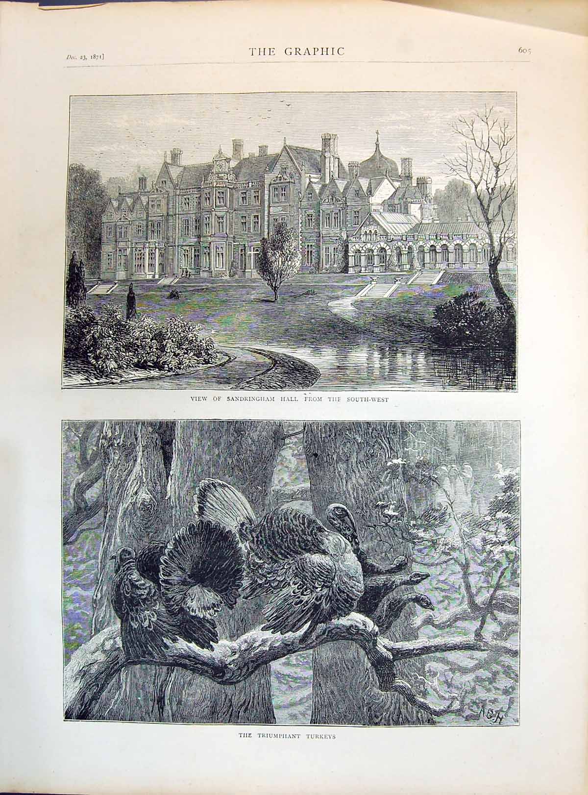 Old Print 1871 View Sandringham Hall Architecture Triumphant Turkey Birds 19th