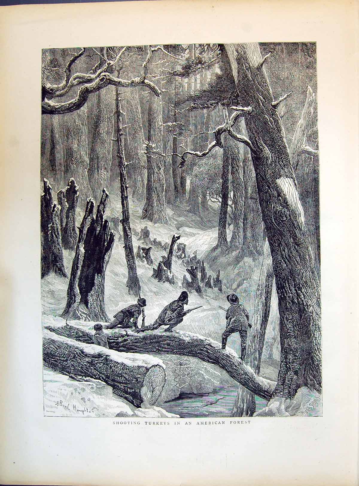 Antique Old Print 1871 Shooting Turkeys America Forest Scene Hunting Sport 19th