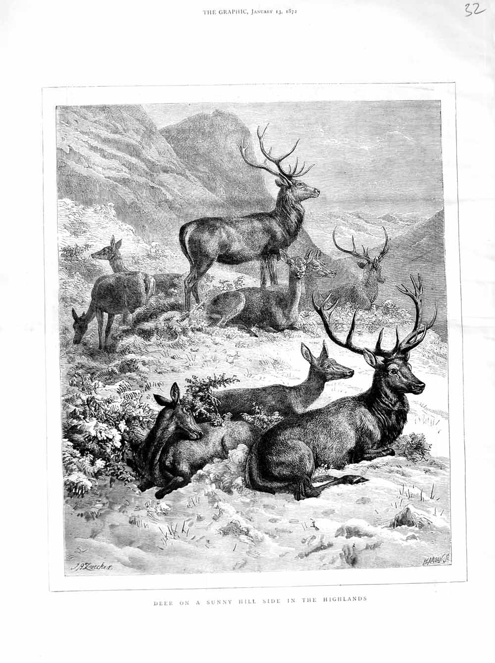 Original Old Antique Print 1872 Deer Sunny Hill Side Highlands Scotland Amimals