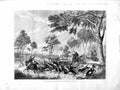 Original Old Antique Print 1872 Australia Kangaroo Hunting Sport Country Trees