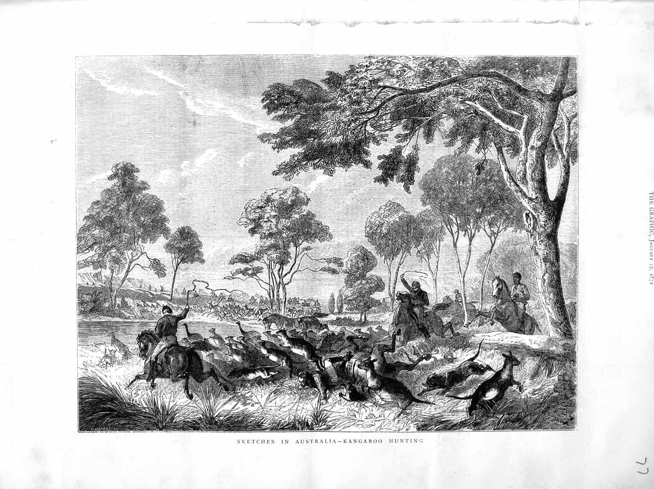 Original Old Antique Print 1872 Australia Kangaroo Hunting Sport Country Trees