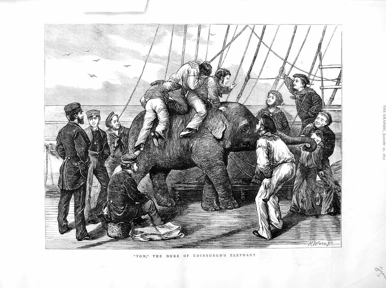 Old Antique Print 1872 Tom Duke Edinburgh Elephant Animals Ship Sailors 19th