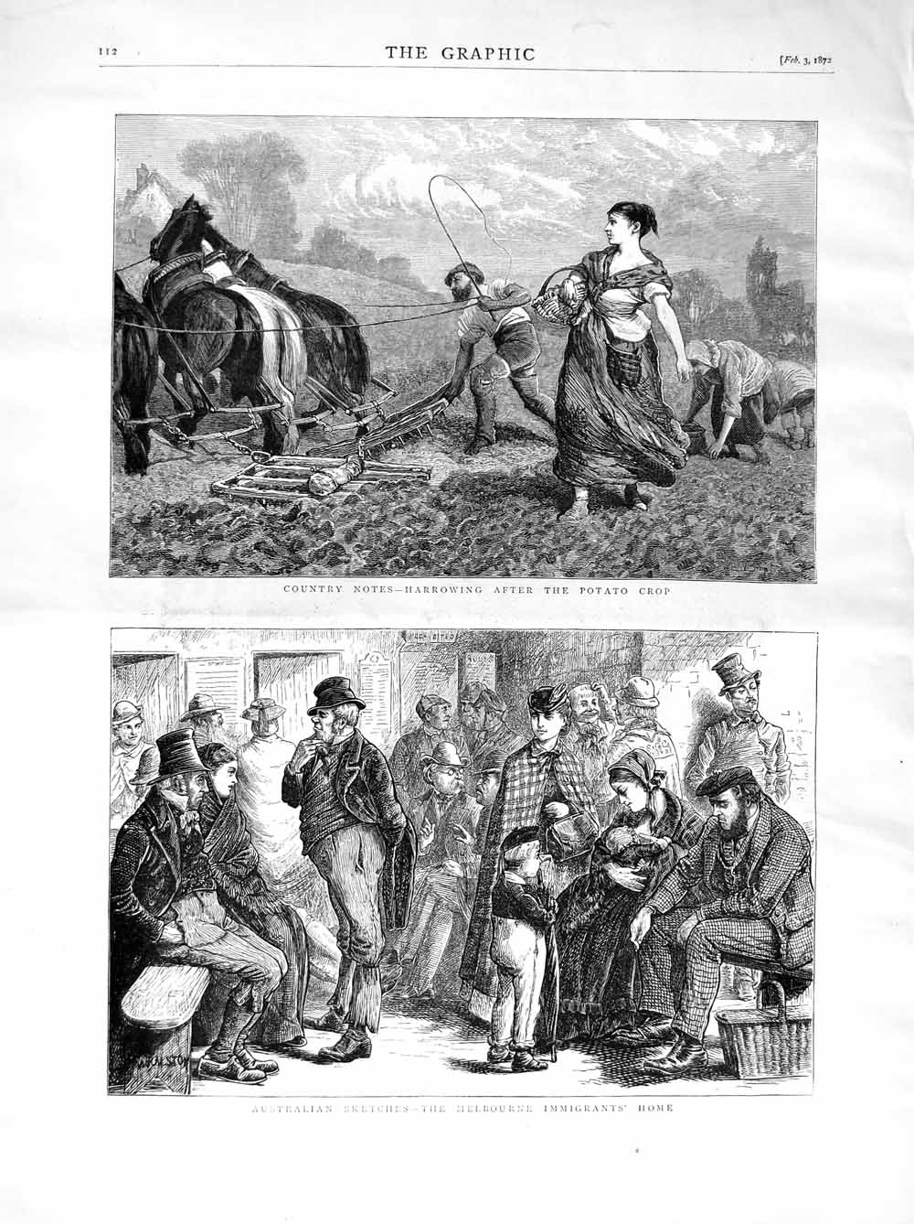 Original Old Antique Print 1872 Farming Harrowing Potato Australia Immigrants