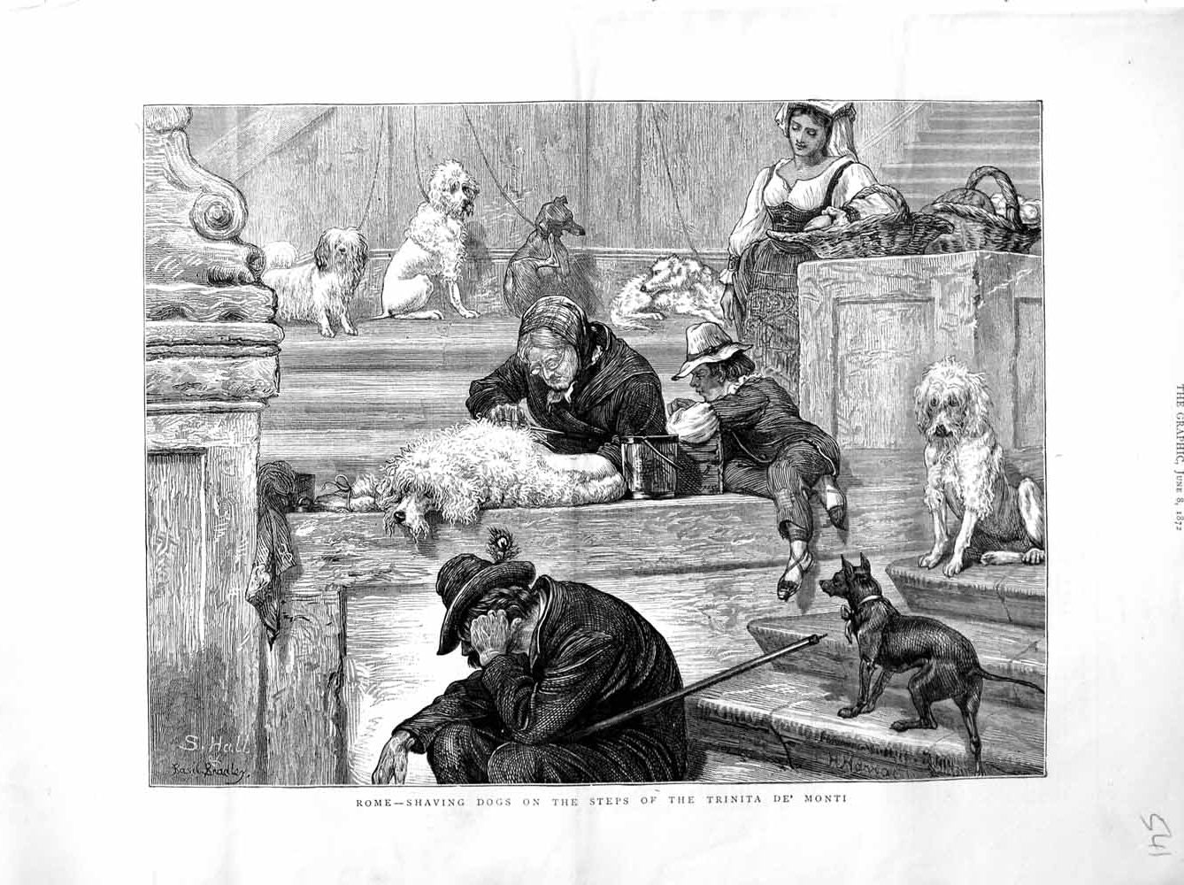 Old Antique Print 1872 Italy Rome Shaving Dogs Trinita De Monti Animals 19th