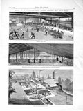 Old Antique Print 1872 Australia Sheep Station Collaroy New South Wales 19th