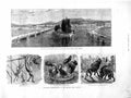 Original Old Antique Print 1872 Geneva Arbitration Spider Monkeys Regent'S Park