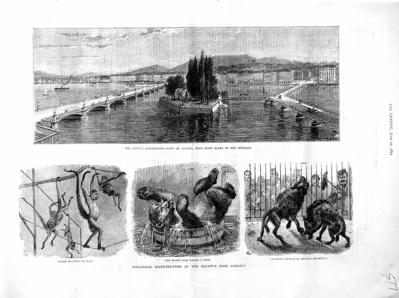 Original Old Antique Print 1872 Geneva Arbitration Spider Monkeys Regent'S Park