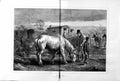 Original Old Antique Print 1872 Fine Art George Thomas Cart Horse Waggons Camp 0