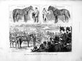 Original Old Antique Print 1872 Horse Sale Middle Park Blair Athol Gladiateur